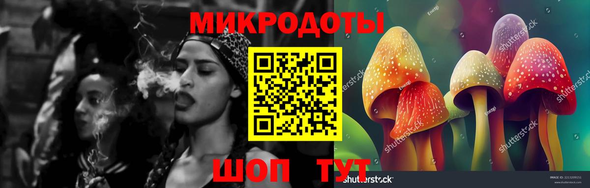Псилоцибиновые грибы мухоморы Чайковский